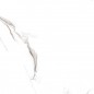 Виниловая плитка настенная КронаПласт CronaWall+ Мрамор калакатта 700x240x3,6 в Курске