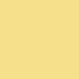 Краска Farrow & Ball цвет Dayroom Yellow 233 Dead Flat 5 л в Курске