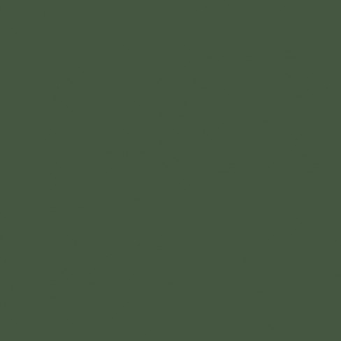 Краска Farrow & Ball Colour by Nature цвет Duck Green W55 Estate Emulsion 0,1 л в Курске
