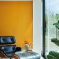 Краска Farrow & Ball Colour by Nature цвет Dutch Orange W76 Estate Emulsion 0,1 л в Курске