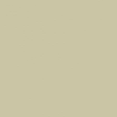 Краска Farrow & Ball Colour by Nature цвет Ash Grey W9 Modern Emulsion 5 л в Курске
