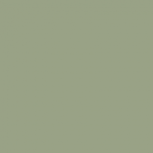 Краска Farrow & Ball цвет Lichen 19 Modern Emulsion 5 л в Курске