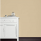 Краска Farrow & Ball цвет Savage Ground 213 Modern Emulsion 5 л в Курске