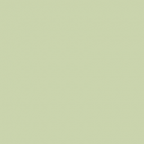 Краска Farrow & Ball цвет Cooking Apple Green 32 Estate Emulsion 0,1 л в Курске