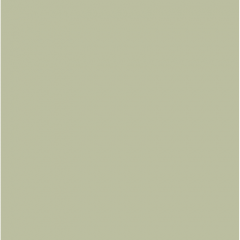 Краска Farrow & Ball цвет Vert De Terre 234 Estate Emulsion 0,1 л в Курске