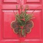 Краска Farrow & Ball цвет Rectory Red 217 Modern Emulsion 5 л в Курске